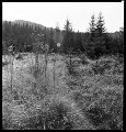 VI_FoN_66-038_18