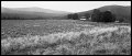 VI_FoN_66-053_01