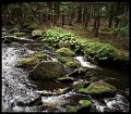VI_FoN_66-074_46