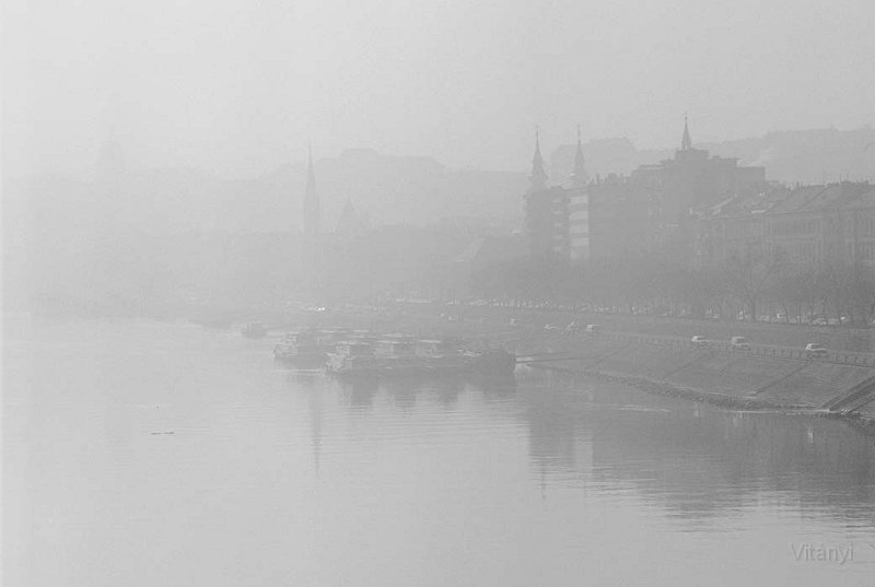 VI_FoN_66-138_12.jpg