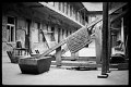 VI_FoN_05-07_17