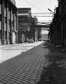 VI_FoN_07-14_12_kb
