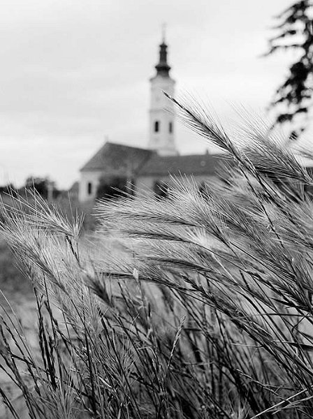VI_FoN_09-07_01.jpg - Mohács, szerb templom.