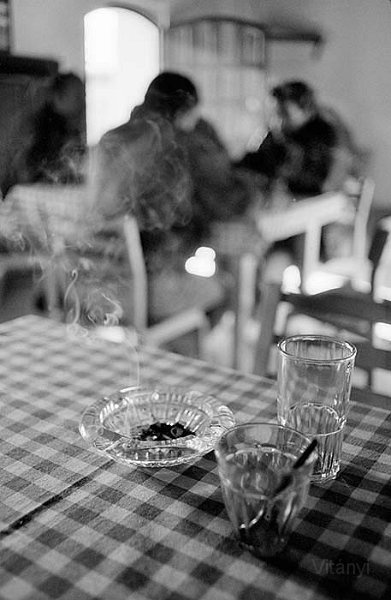 VI_FoN_06-24_04.jpg - Pomáz