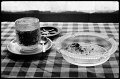 VI_FoN_06-19_34