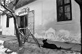 VI_FoN_08-13_12
