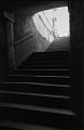 VI_FoN_19-002_003