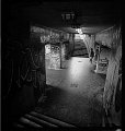 VI_FoN_66-145_06