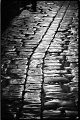 VI_FoN_14-03_12