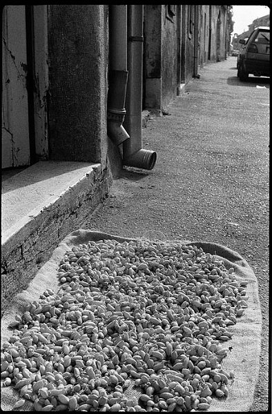 VI_FoN_05-21_09_k_b.jpg - Vodnjan (Isztia, Horvátország)