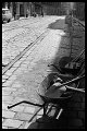 VI_FoN_05-20_32_k_b