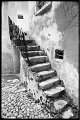 VI_FoN_16-03_20