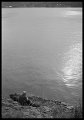 VI_FoN_06-14_05
