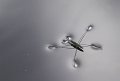 VI_FoDi_05_4041