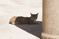 VI_FoDi_05_9289