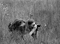 VI_FoN_07-33_36