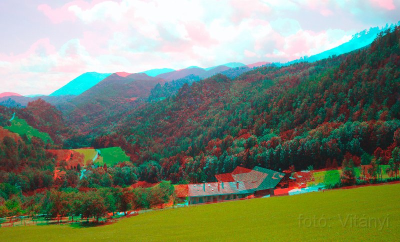 VI_FoDi_06_6025-26_a.jpg
