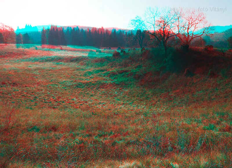 VI_FoDi_06_9174-75_b.jpg - Nagy-mező