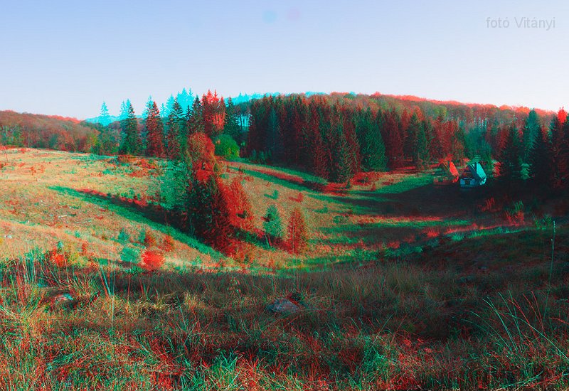 VI_FoDi_06_9183-84_b.jpg - Nagy-mező