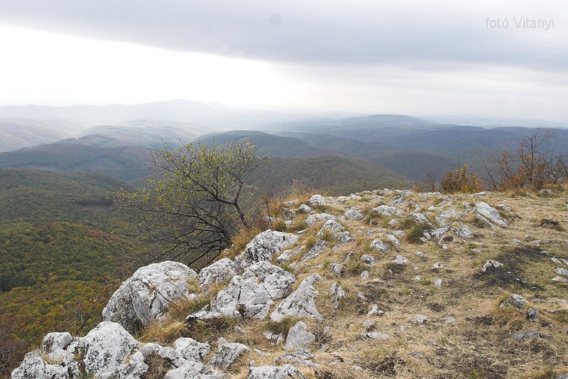 VI_FoDi_06_9051_b.jpg - Tar-kő