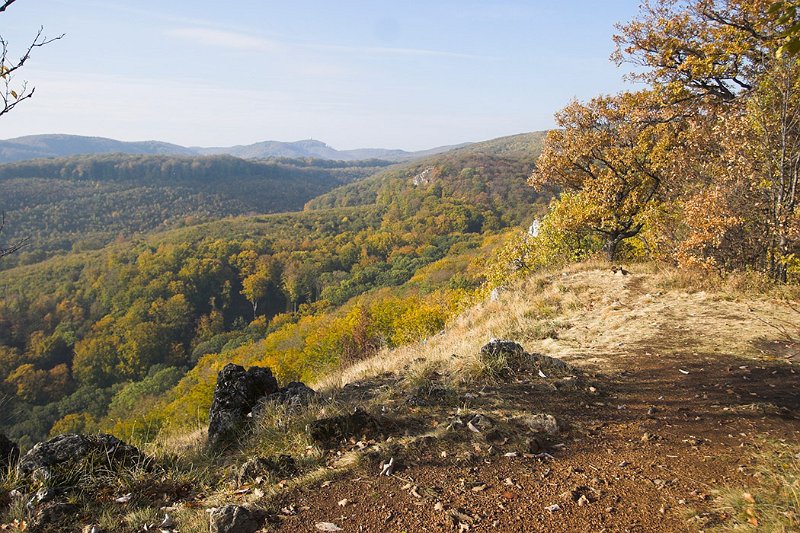 VI_FoDi_06_9076_b.jpg - Magos-kő.