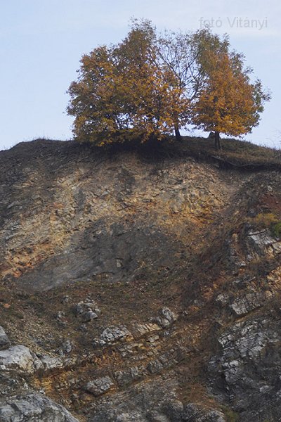VI_FoDi_06_9150_b.jpg - Újmassai kőfejtő