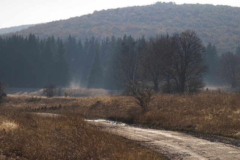 VI_FoDi_06_9172_b.jpg - Nagy-mező