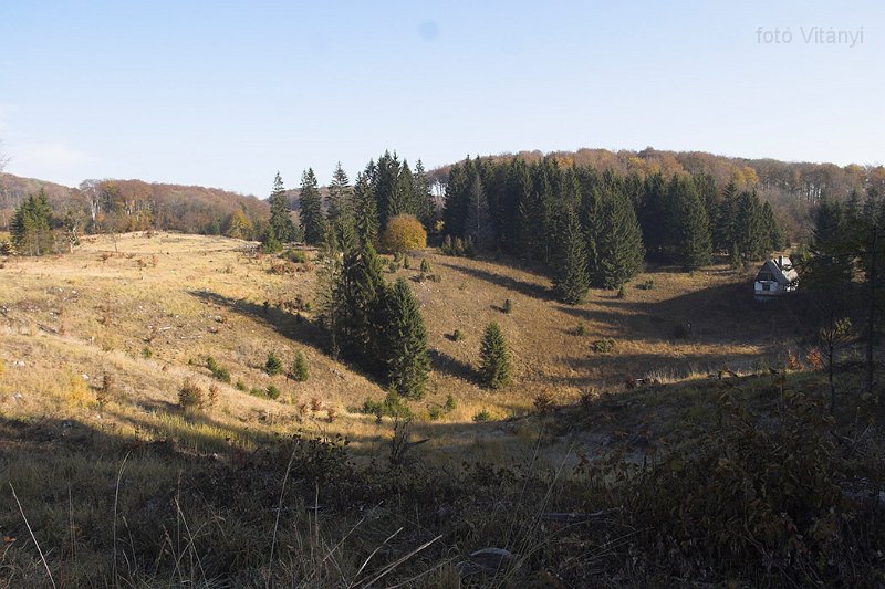 VI_FoDi_06_9178_b.jpg - Nagy-mező