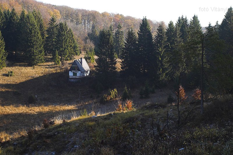 VI_FoDi_06_9182_b.jpg - Nagy-mező