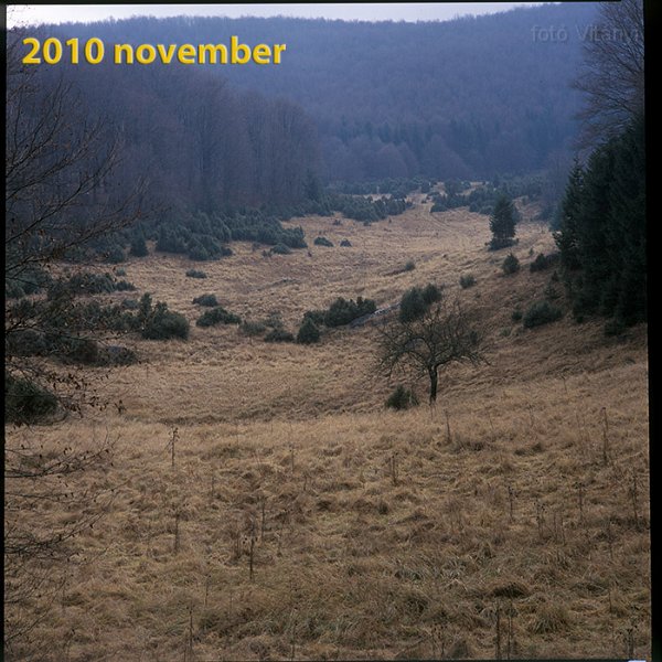 VI_FoN_66-163_04_b.jpg - Zsidó-rét