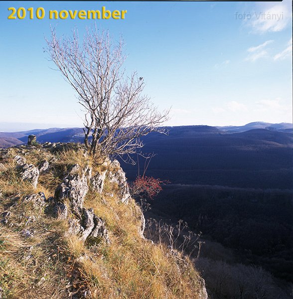 VI_FoN_66-163_10_b.jpg - Ugyanez. Csak nem délelőtt, hanem délután, nem október, hanem november, nem 2011 hanem 2010, és nem fekete-fehér, hanem színes filmen.