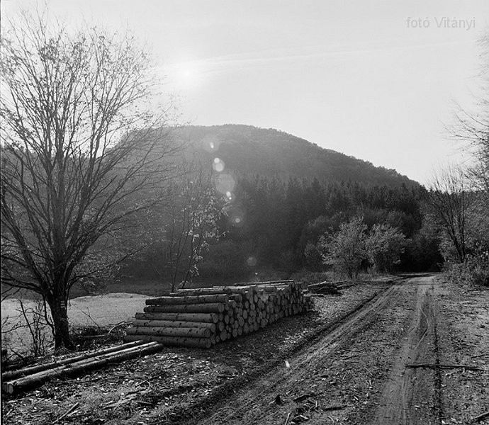 VI_FoN_66-165_06_vb.jpg - Hór-völgy, Tebe-rét.