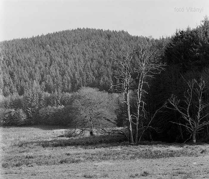 VI_FoN_66-165_08_vb.jpg - Hór-völgy, Tebe-rét.