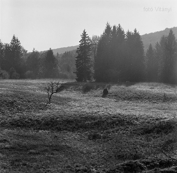 VI_FoN_66-166_01_vb.jpg - Nagy-mező