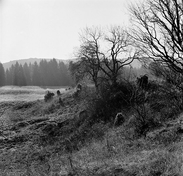VI_FoN_66-166_03_vb.jpg - Nagy-mező
