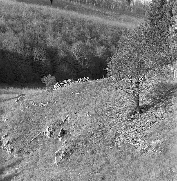 VI_FoN_66-166_07_vb.jpg - Menyecske-töbör.