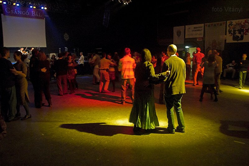 VI_FoDi_07_1153_b.jpg