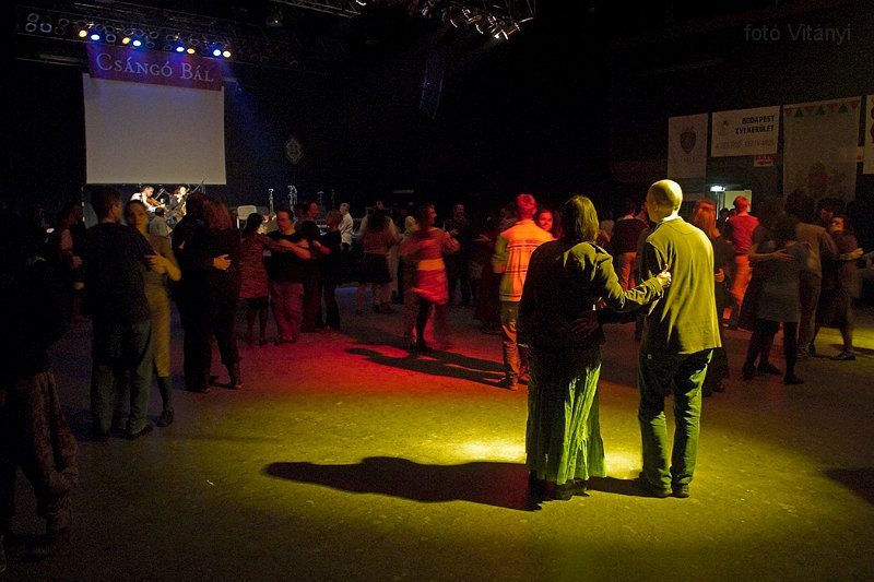 VI_FoDi_07_1154_b.jpg