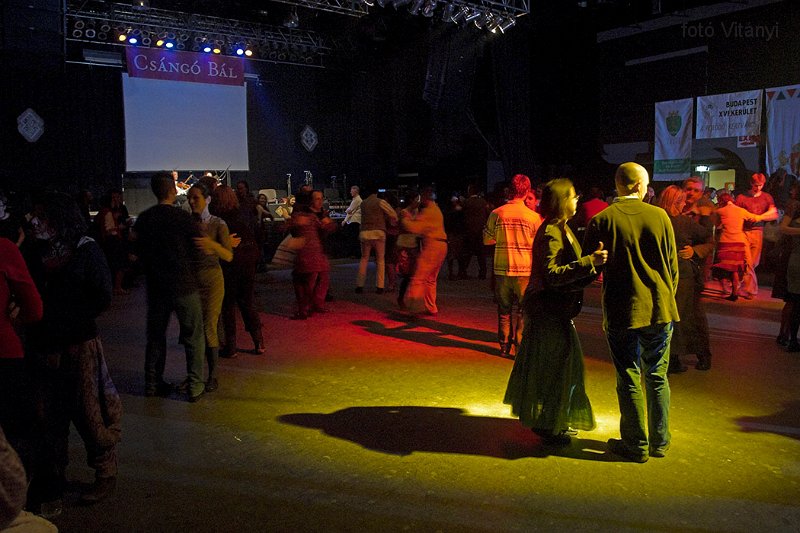 VI_FoDi_07_1155_ff_b.jpg
