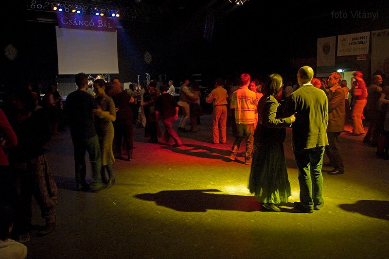 VI_FoDi_07_1156_b.jpg