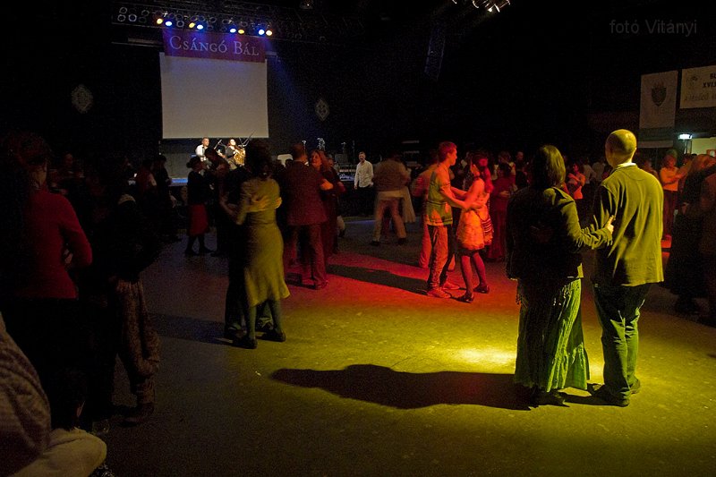 VI_FoDi_07_1157_b.jpg