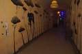 VI_FoDi_07_6403_s