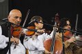 VI_FoDi_07_6219_s