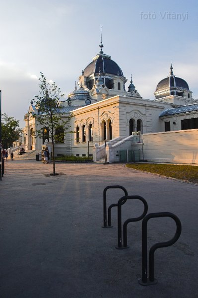 VI_FoDi_07_6846_s.jpg
