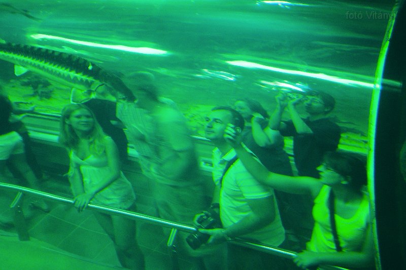 VI_FoDi_07_7400_s.jpg