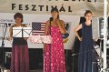 VI_FoDi_08_1007_s