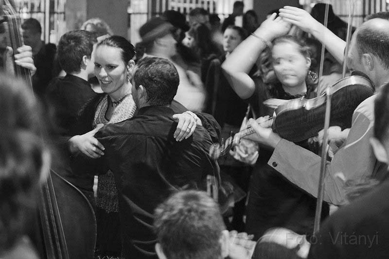 VI_FoDi_06_3533_b.jpg