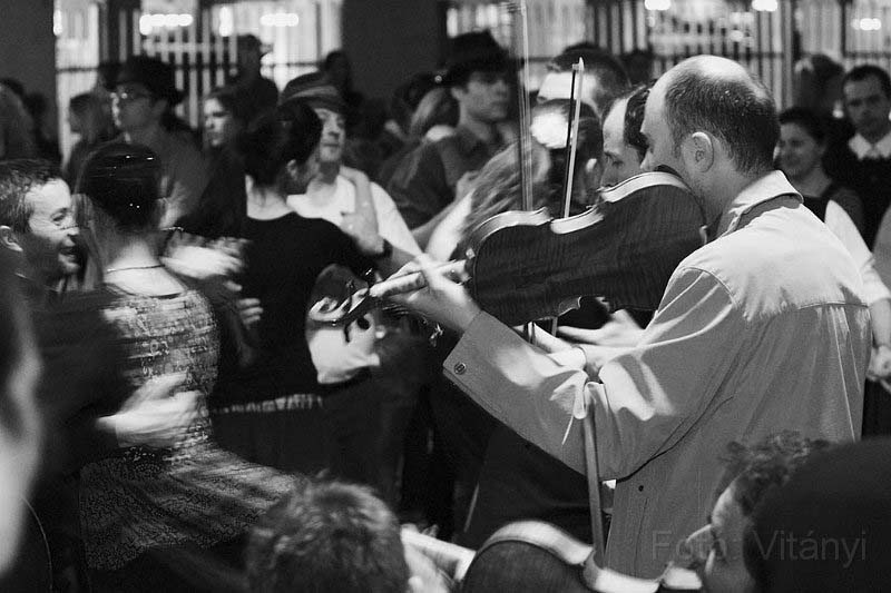 VI_FoDi_06_3536_b.jpg