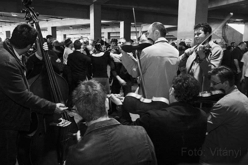 VI_FoDi_06_3546_b.jpg