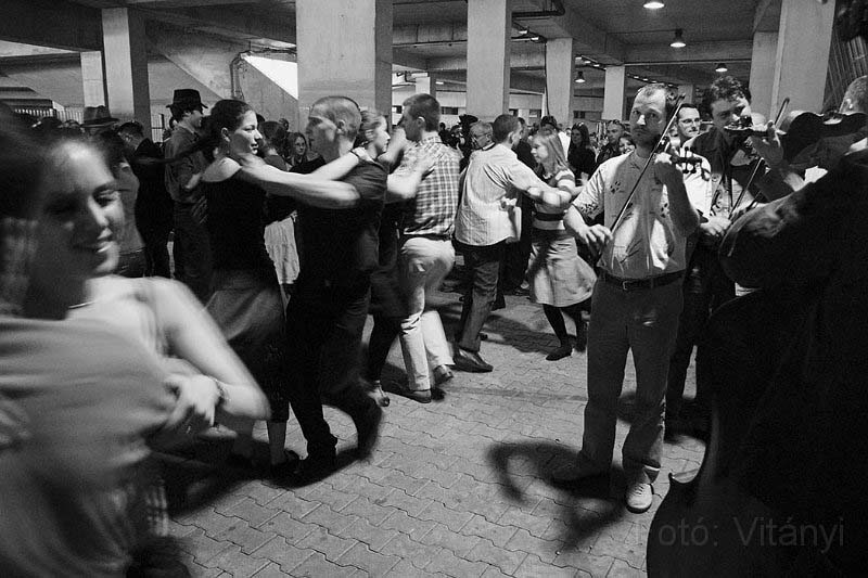 VI_FoDi_06_3554_b.jpg